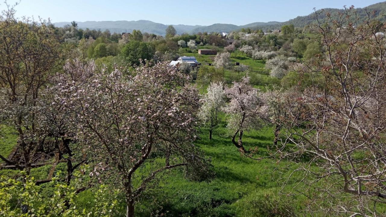 Bat'Kivska Hata Stari Kuty Zewnętrze zdjęcie