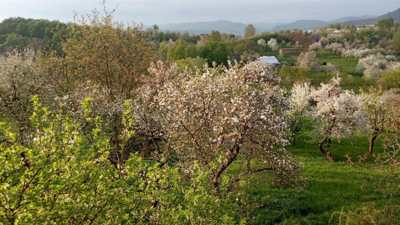 Bat'Kivska Hata Stari Kuty Zewnętrze zdjęcie