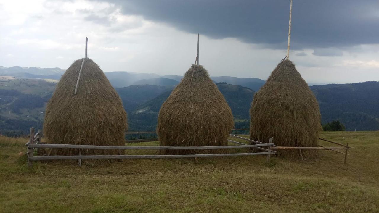 Bat'Kivska Hata Stari Kuty Zewnętrze zdjęcie